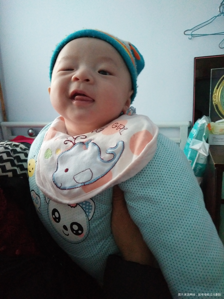 【小树成长记】——长大篇