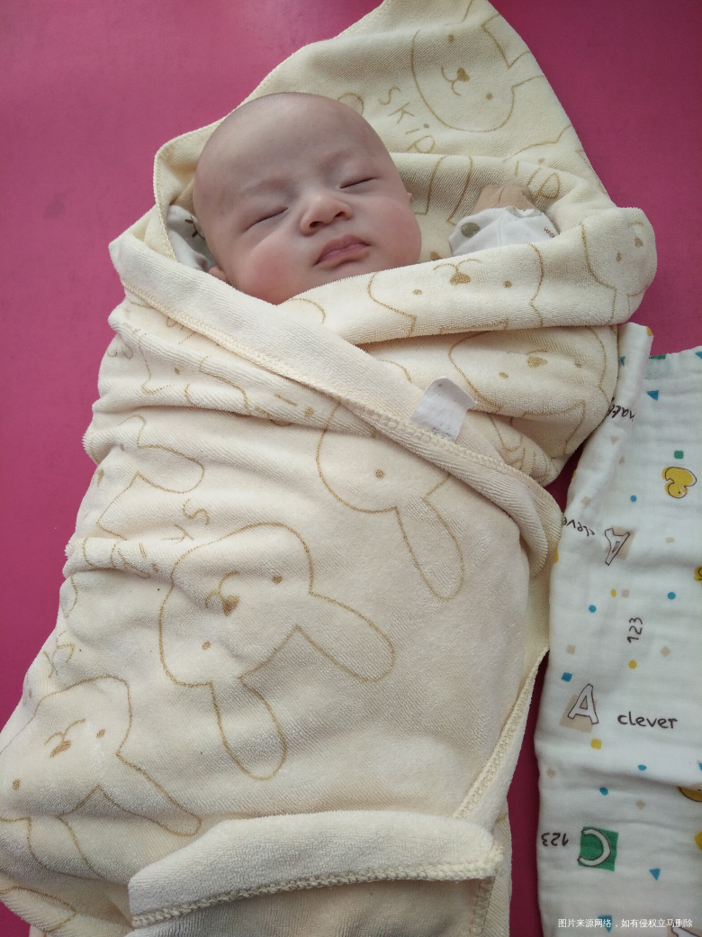 【小树成长记】——绿粑粑篇