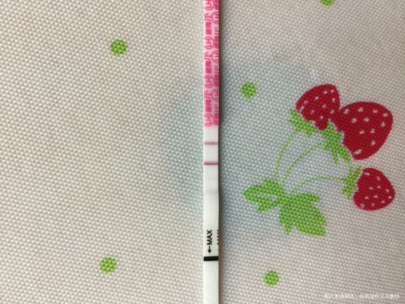 备孕的人可以吃枸杞吗??