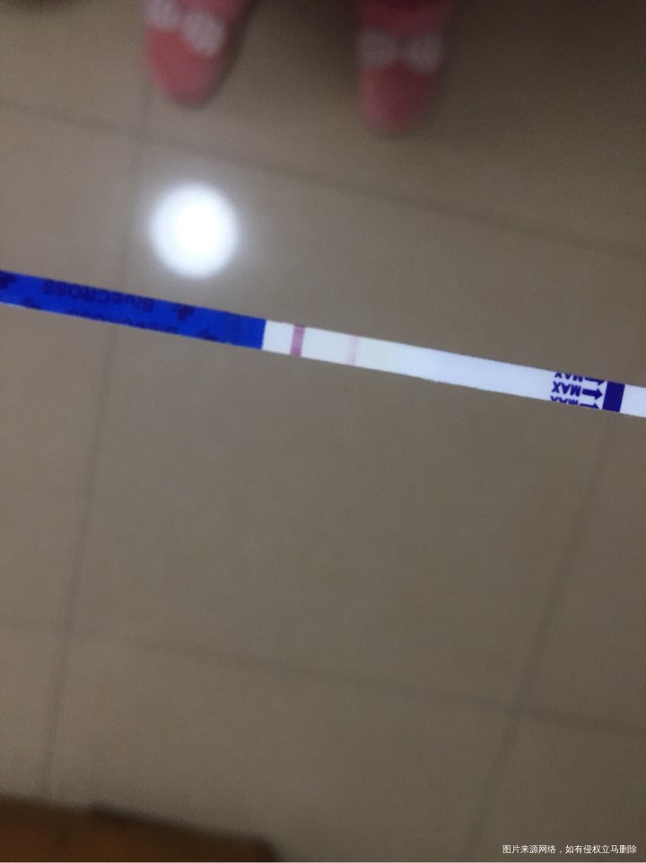 移植冻胚第十天,试纸结果