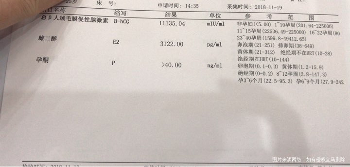 接好孕啦!!!
10月21放的鲜胚2枚,31号查的怀孕,当时第十天血值41.67…