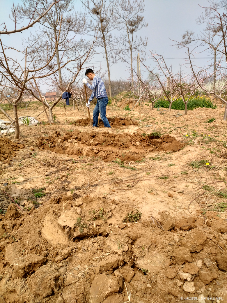 老公今天回公婆家下地干活去了