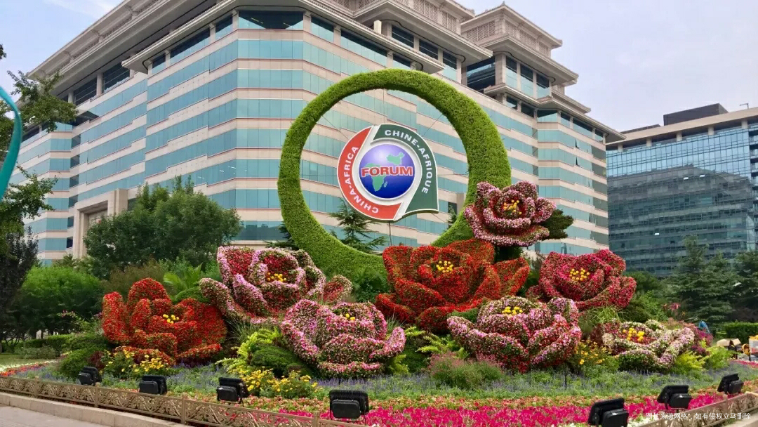 大帝都就是不一样啊,国庆节花坛