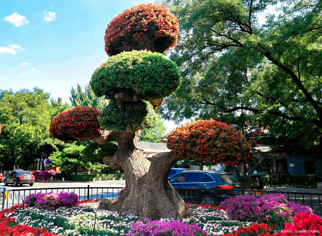 大帝都就是不一样啊,国庆节花坛