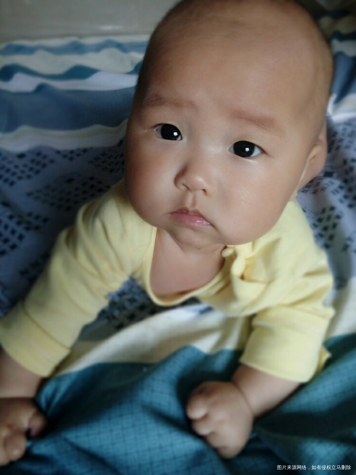 男宝女宝都是妈妈的宝