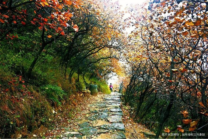 突然很想去旅游。红叶🍁到