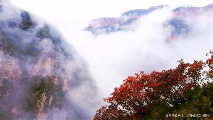 突然很想去旅游。红叶🍁到