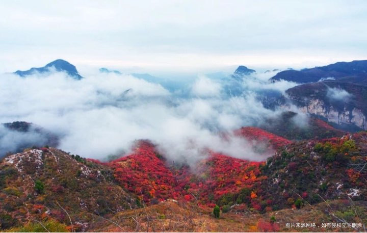 突然很想去旅游。红叶🍁到