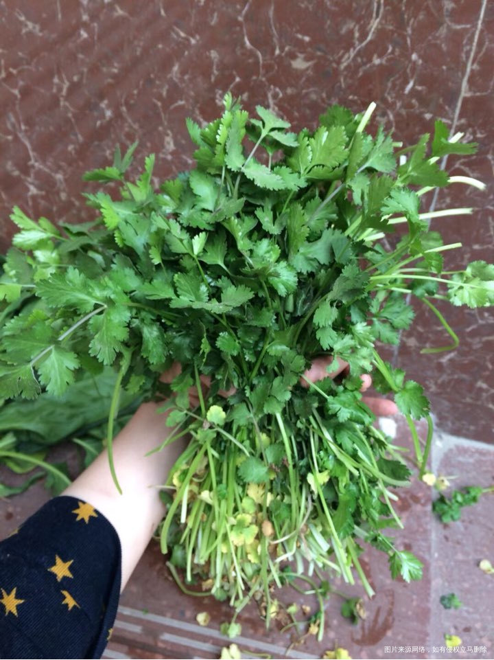 那会拽的新鲜香菜。身价翻了多少倍?