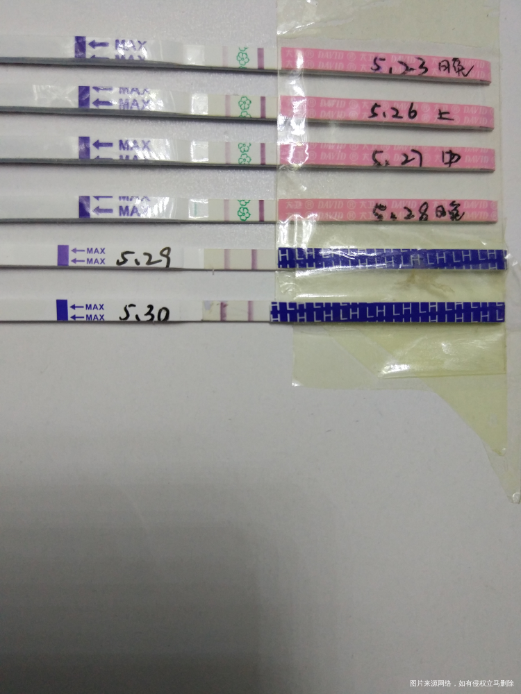 备孕第三个月 放松 放松 放松