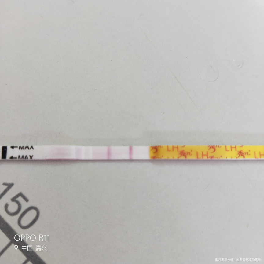 这个月终于正常排卵了,中药没白吃