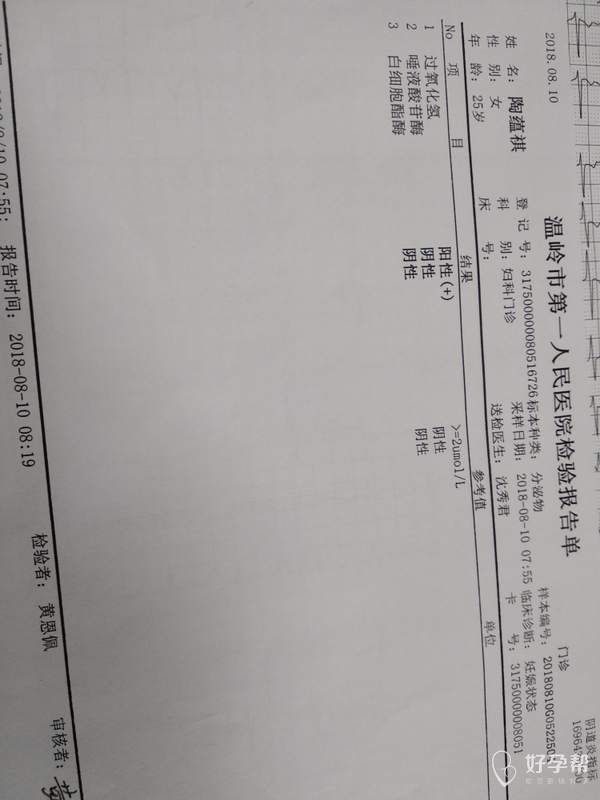 今天10周抽血检查 上午抽的