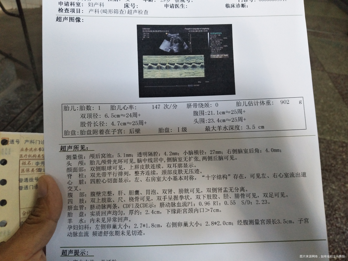 谁会看性别,麻烦看一下吧🙏️🙏️🙏️🙏️🙏️🙏️