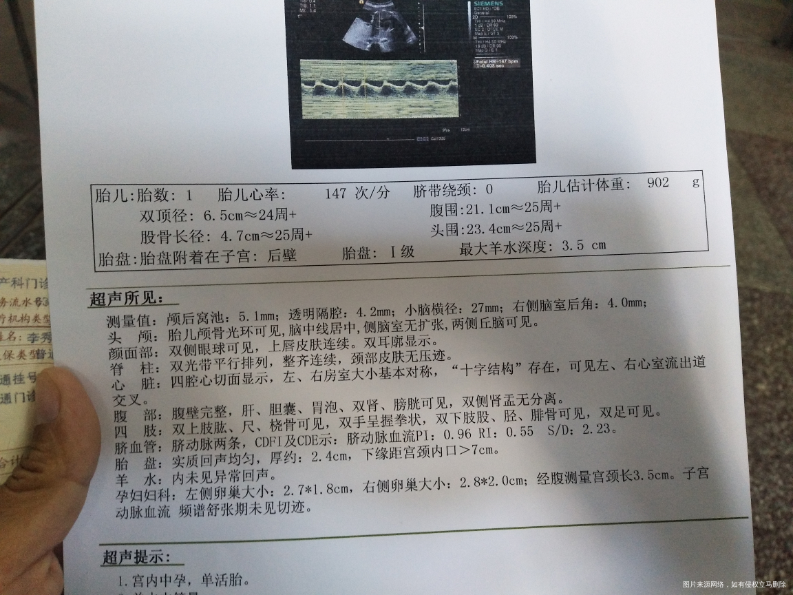 谁会看性别,麻烦看一下吧🙏️🙏️🙏️🙏️🙏️🙏️