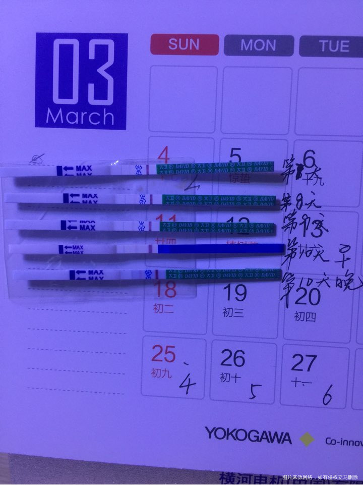 移植后连续4天试纸测试