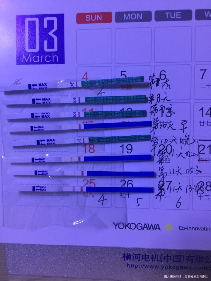 移植后第11天大卫试纸