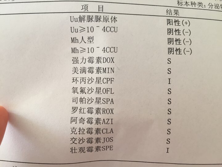 支原体检查结果求助医生