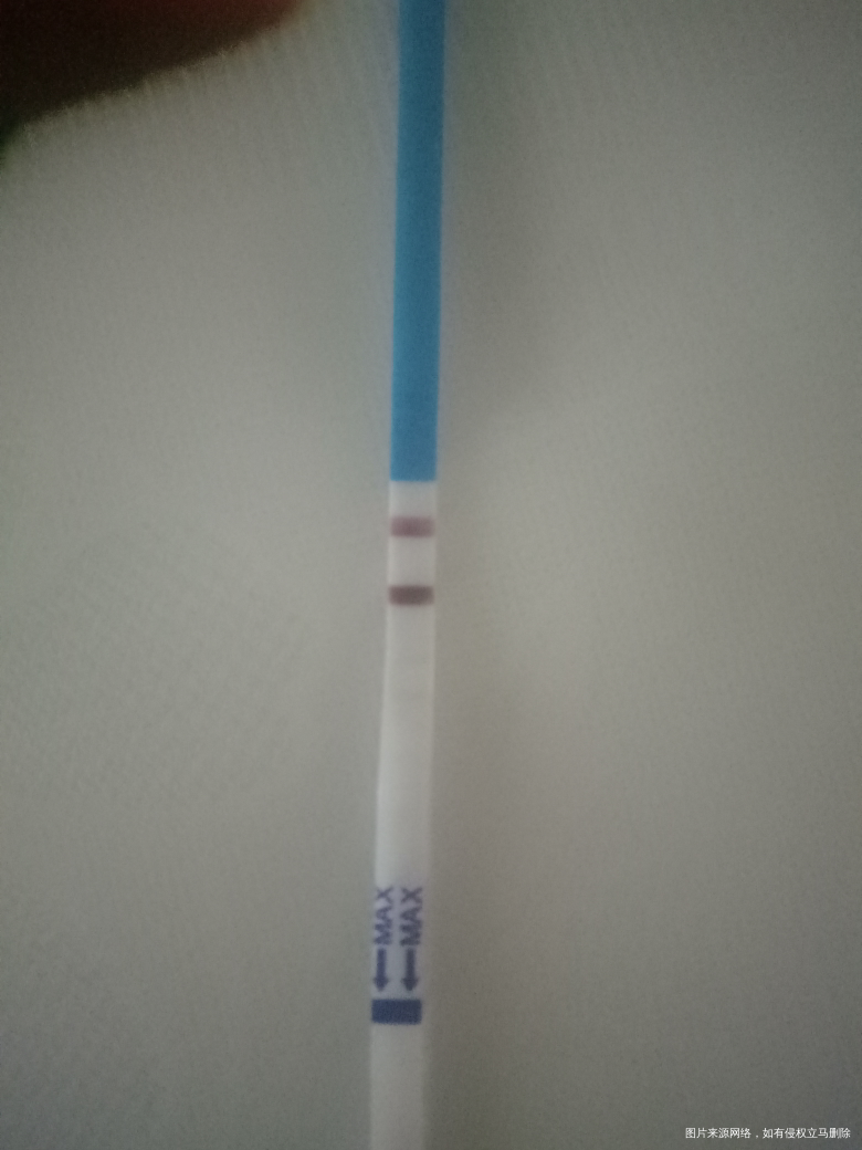 我怀啦 | 貌似怀上了,不知道准不准,心情忐忐忑忑