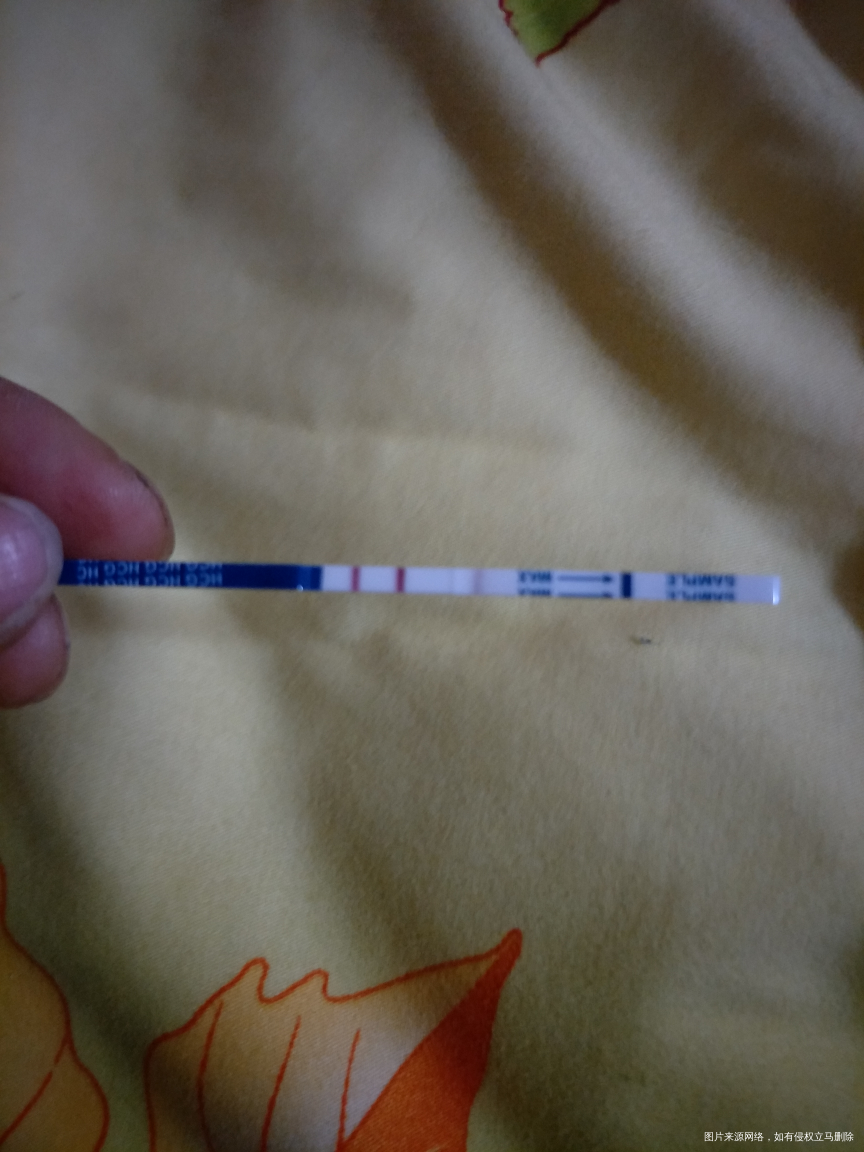 我怀啦 | 昨天晚上买回家测了一下,瞬间……