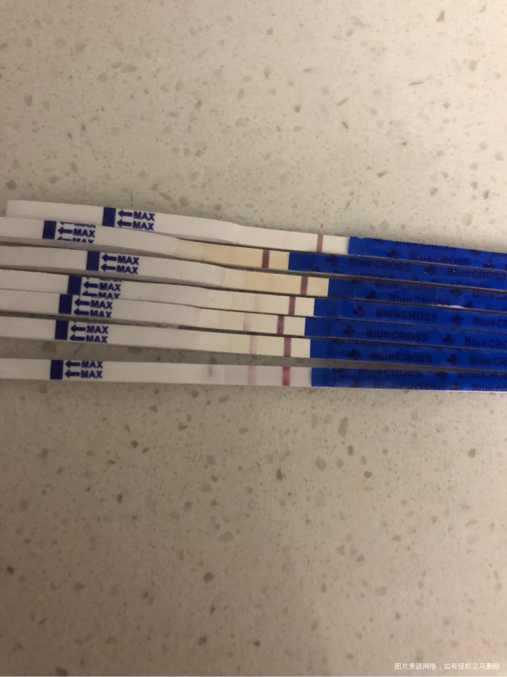 囊胚移植算上当天第十天