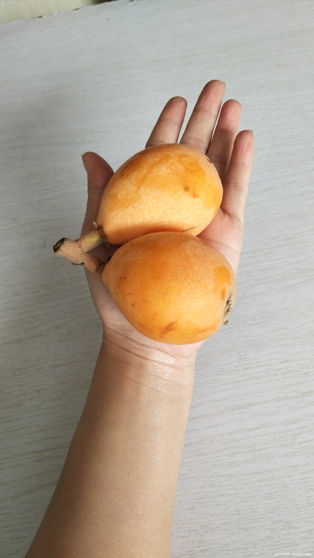 这枇杷,好甜,好甜,比前几次买的都甜,