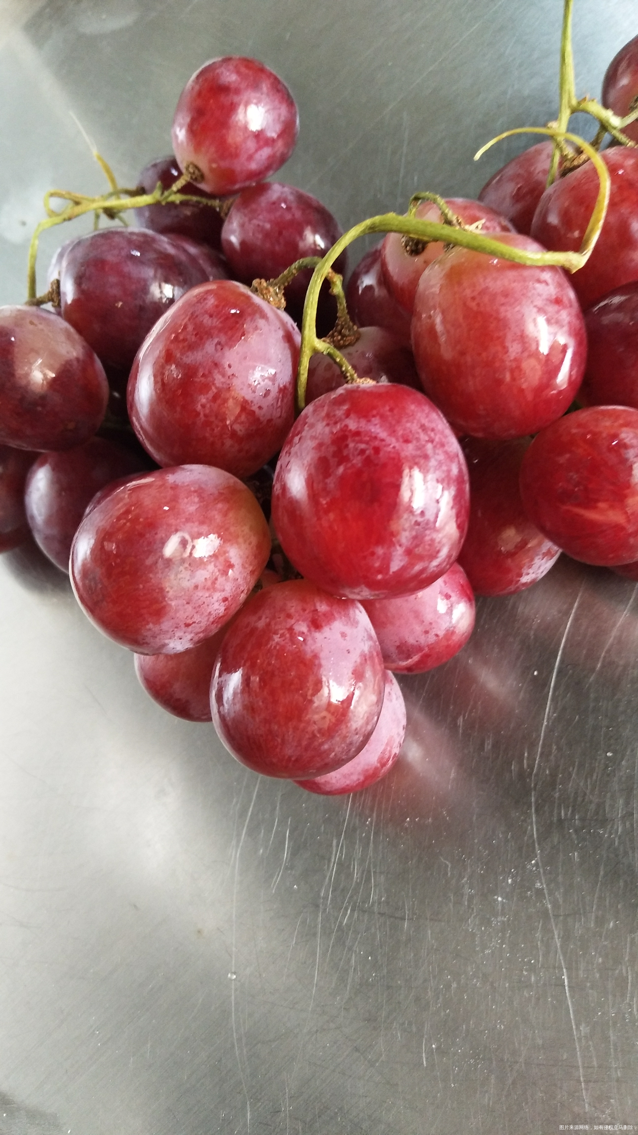 今年弟一次买提子,味道还可以