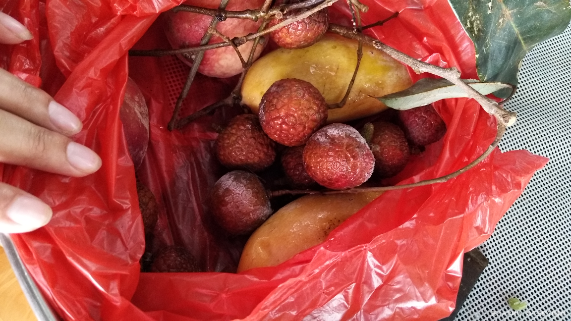 别人送的荔枝,就吃了一个,