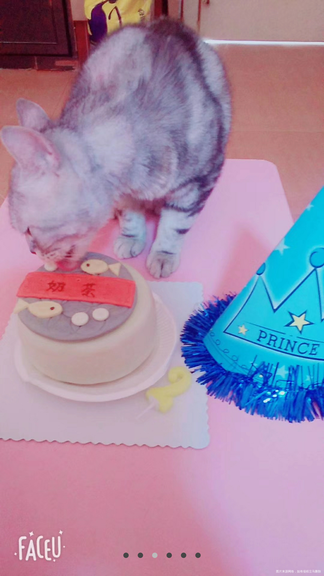 活的还不如一只猫,真是悲催