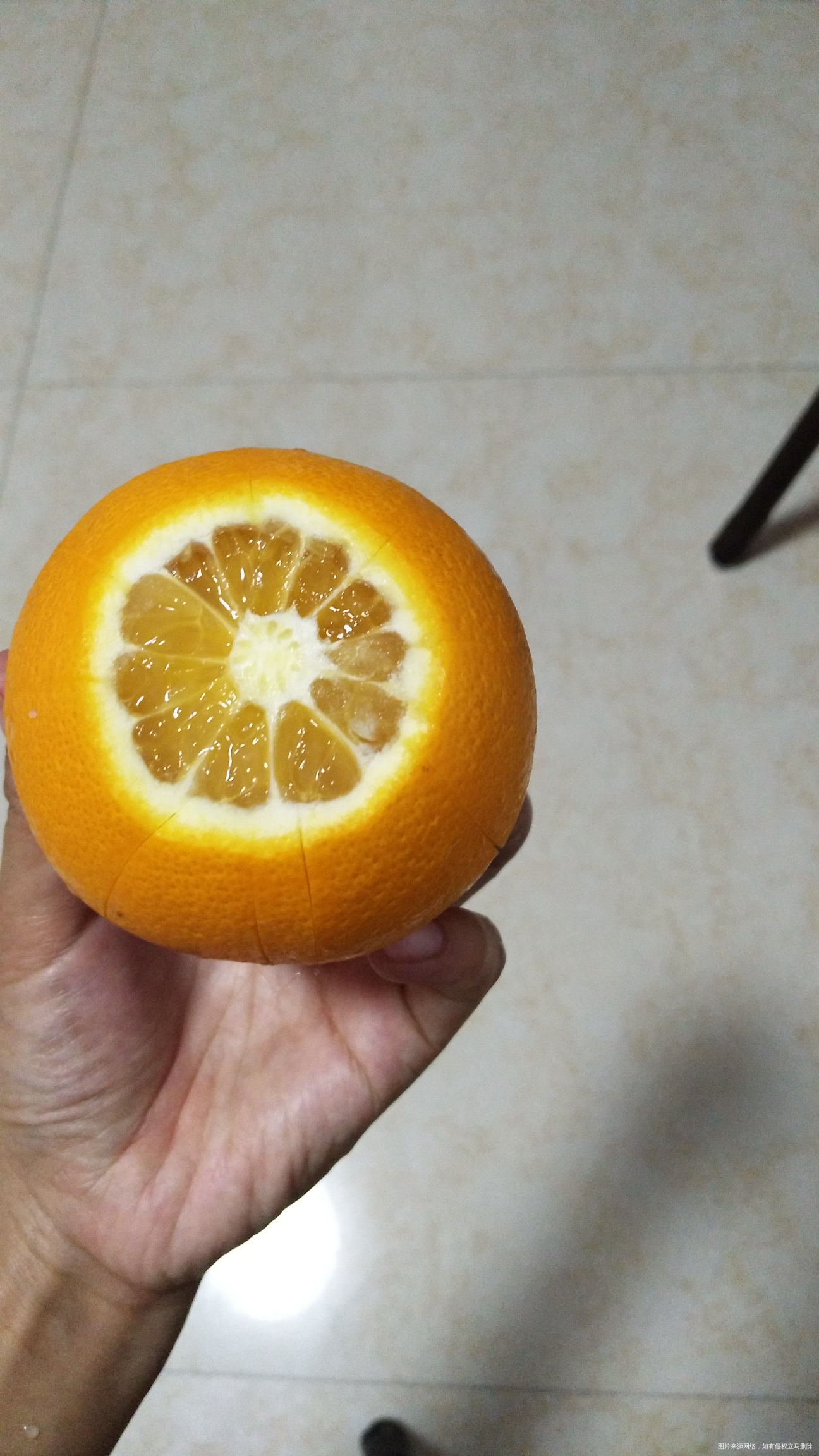 转了四十分呼啦圈,在来吃个奇橙