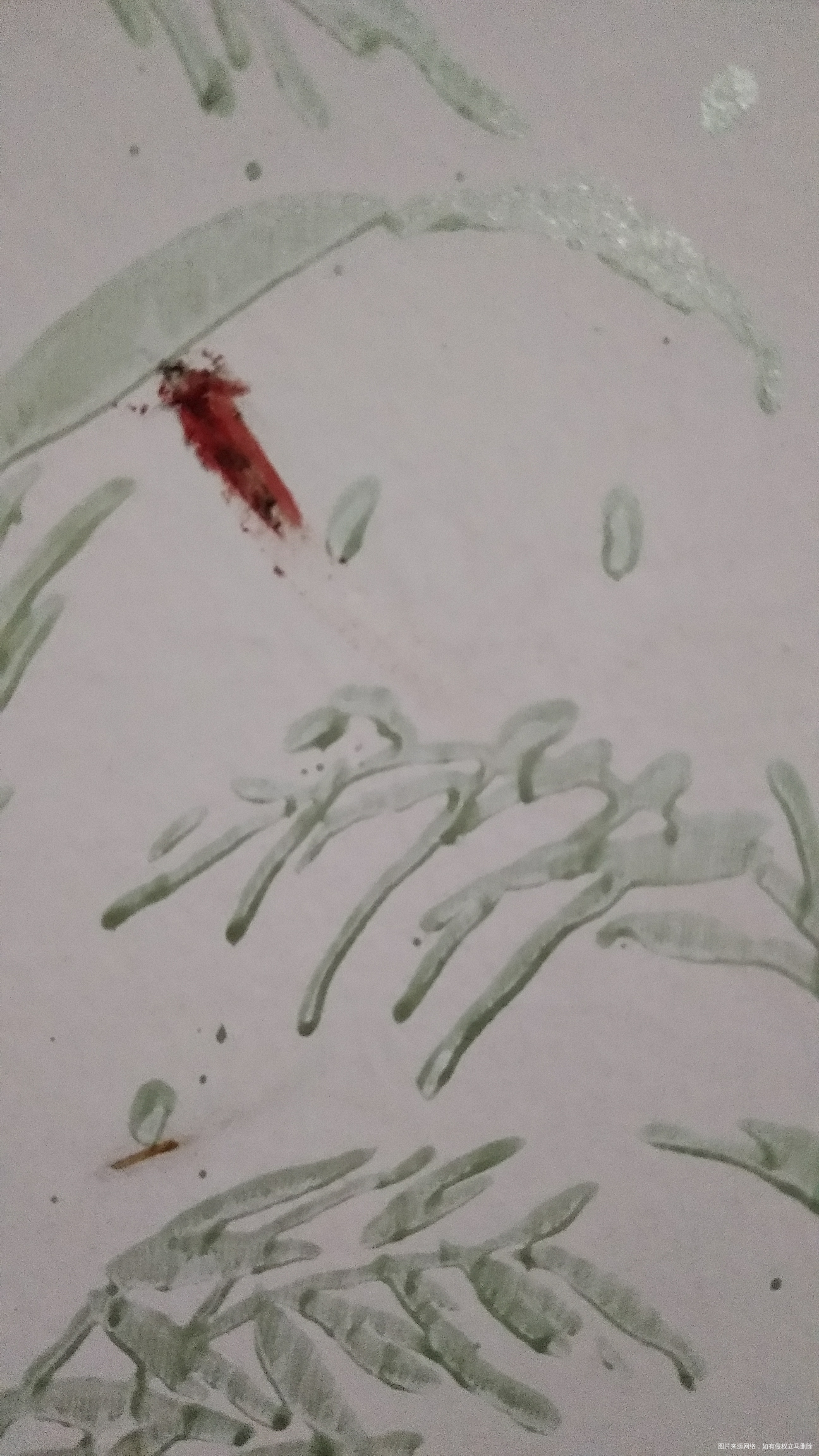 一张床上光咬我,太讨厌了,那家伙睡的跟🐷样