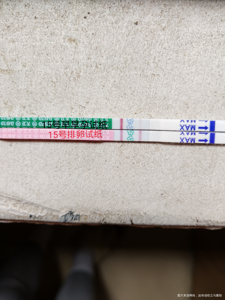 9号移植的,今天第7天