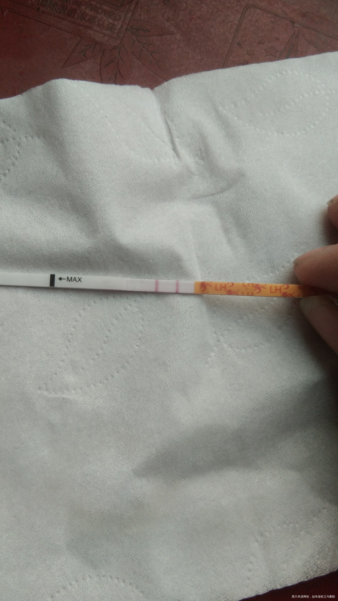 上午测的和下午测得排卵试纸