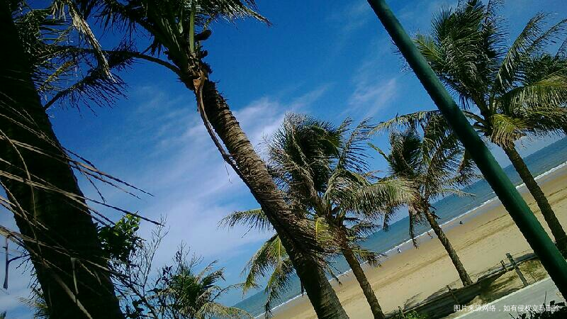 #我的家乡美景#现代化海滨城市欢迎您