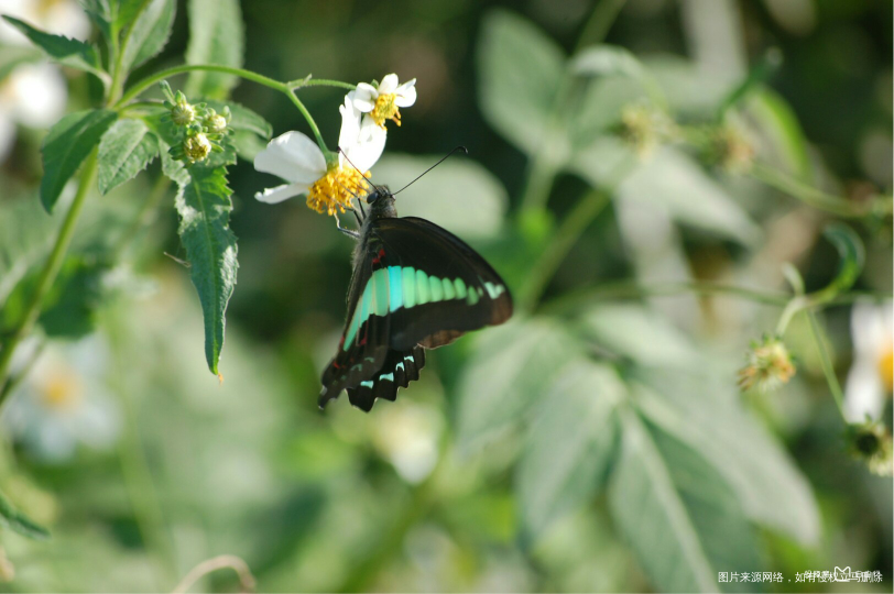 #我的家乡美景#现代化海滨城市欢迎您