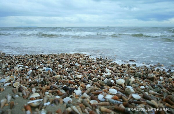 #我的家乡美景#现代化海滨城市欢迎您