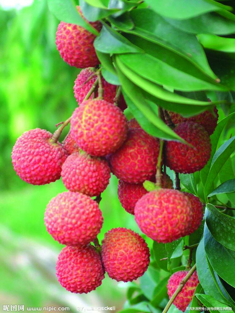 #我的家乡美景#现代化海滨城市欢迎您