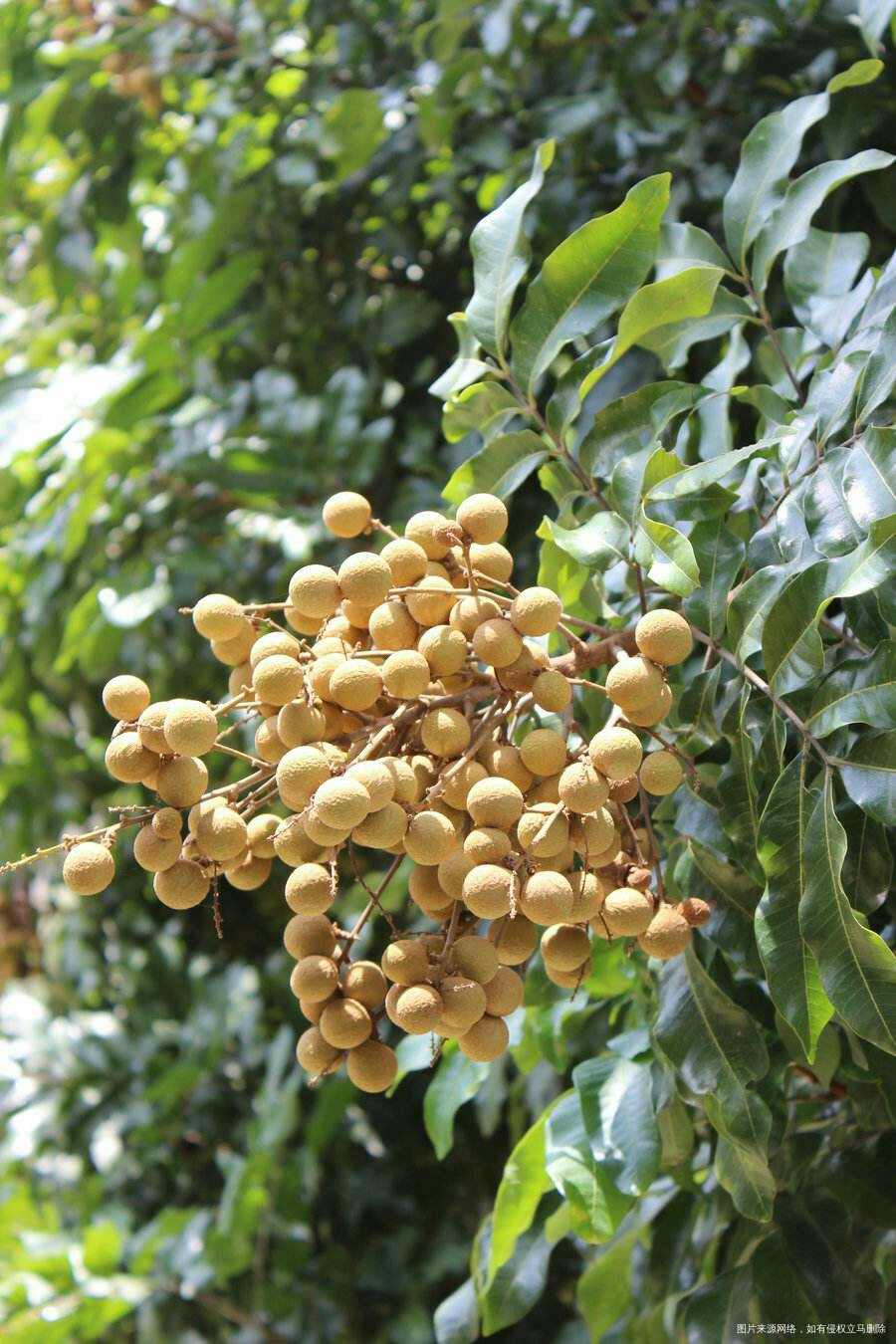 #我的家乡美景#现代化海滨城市欢迎您