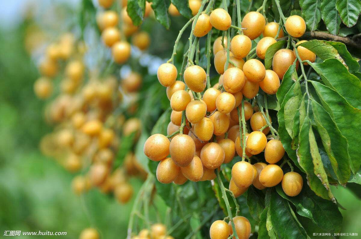 #我的家乡美景#现代化海滨城市欢迎您