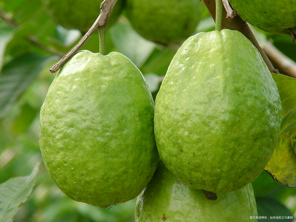 #我的家乡美景#现代化海滨城市欢迎您