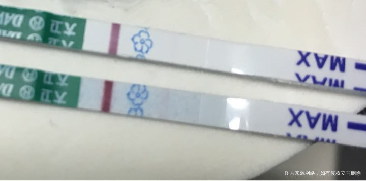 排卵第十二天早早孕测的,大家帮看看有希望吗?