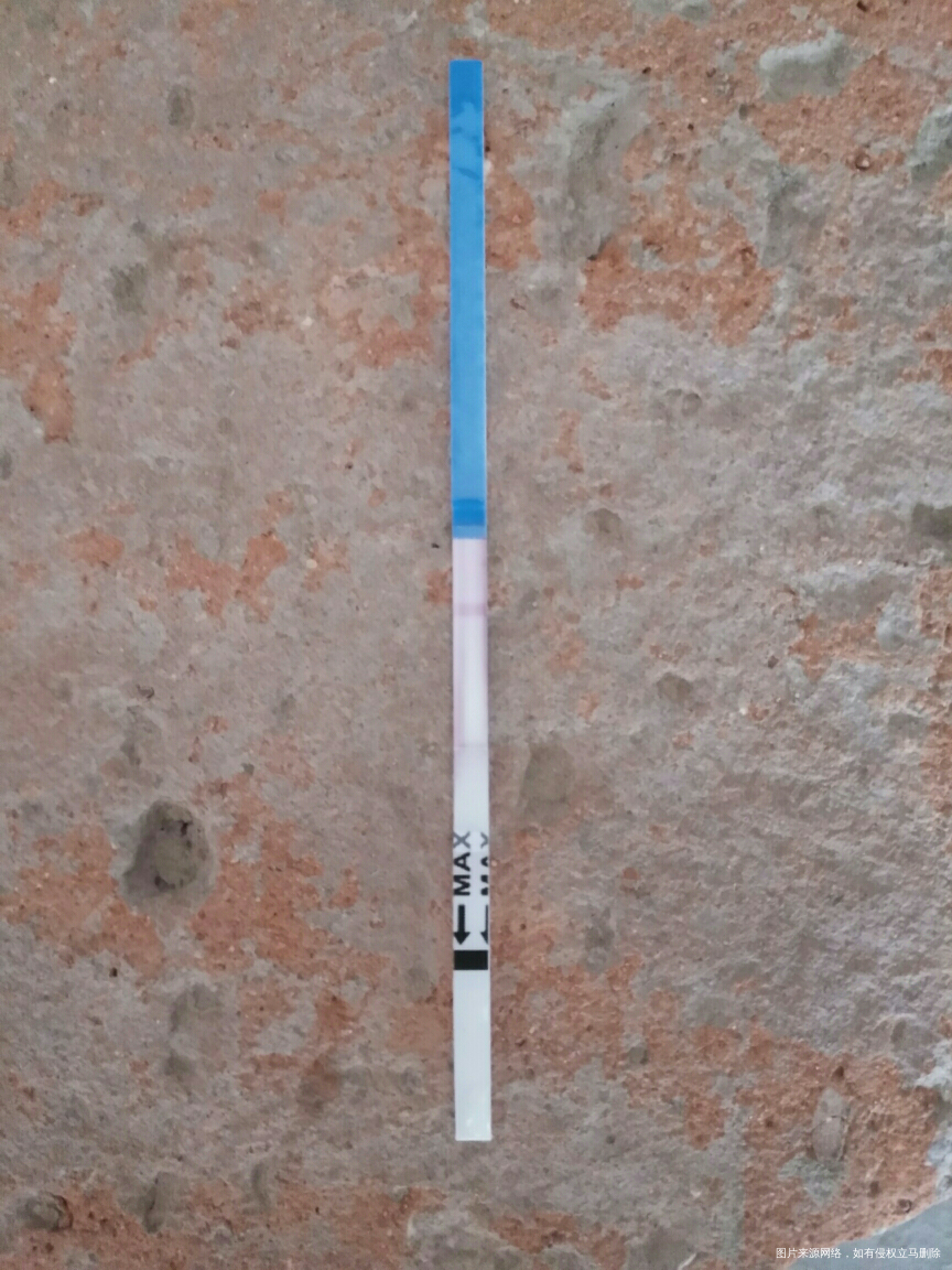 姐妹们看看排没排卵,求帮助