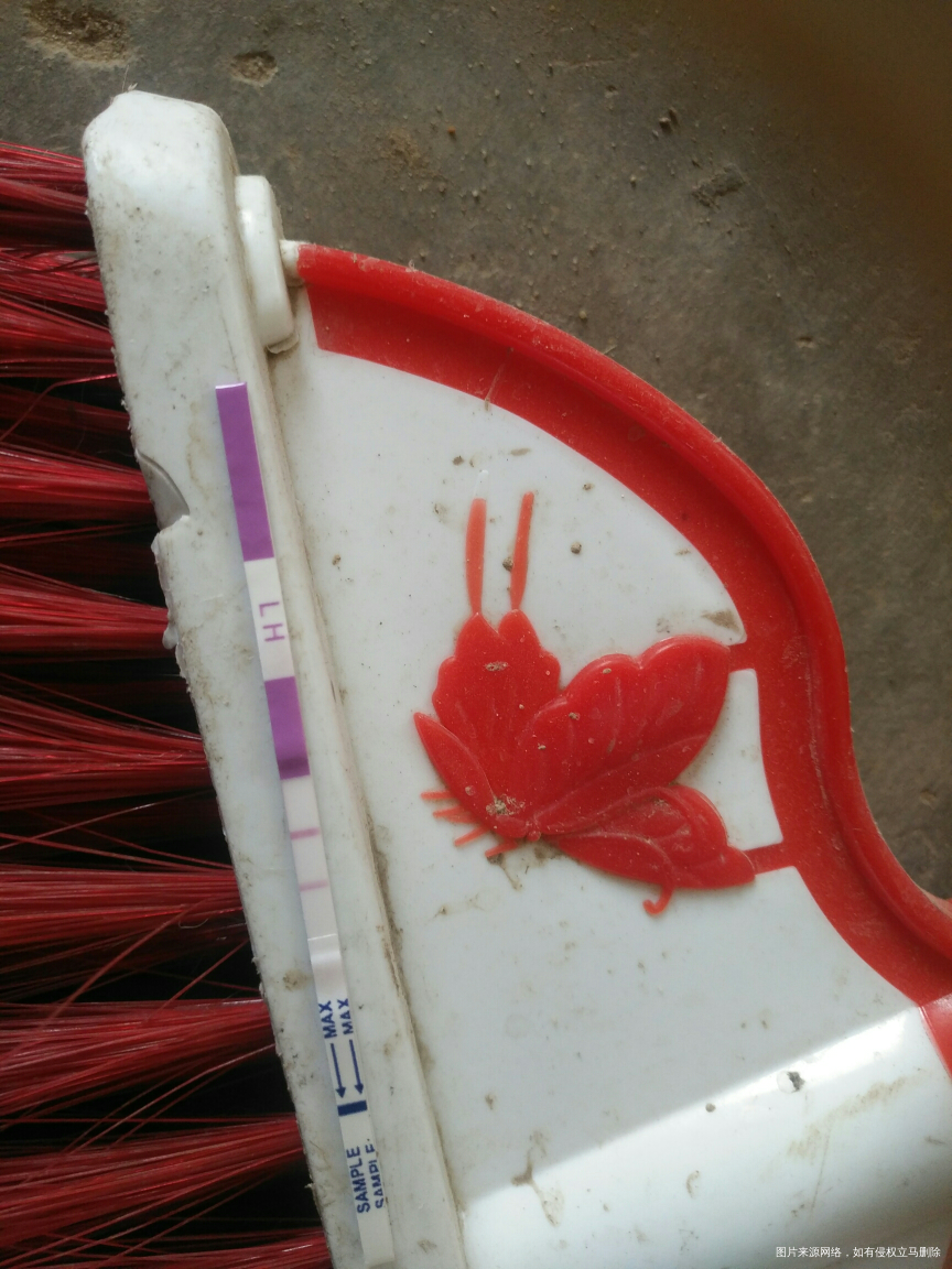 求姐们们帮我看看是排了吗?