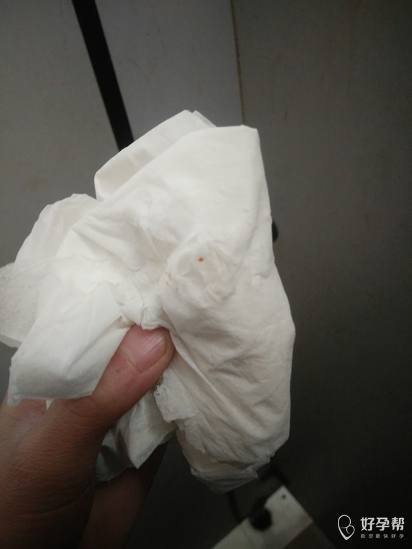 刚上小便,肚子突然疼的那纸一檫出血一点