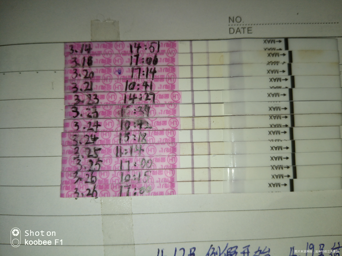 姐妹们为什么会排卵深深浅浅