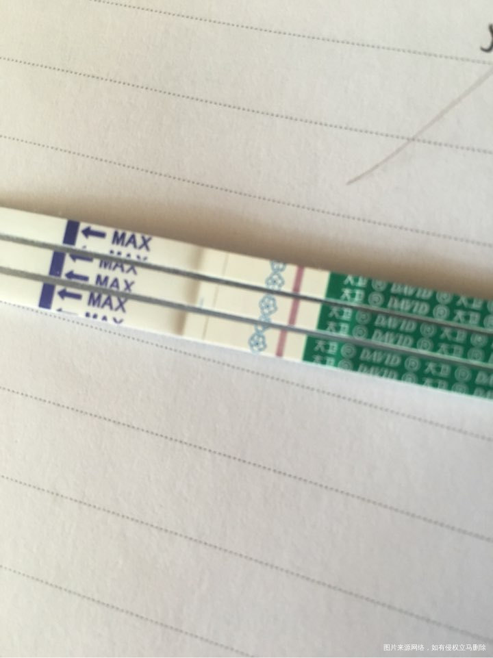 移植冻胚第九天,凑凑热闹