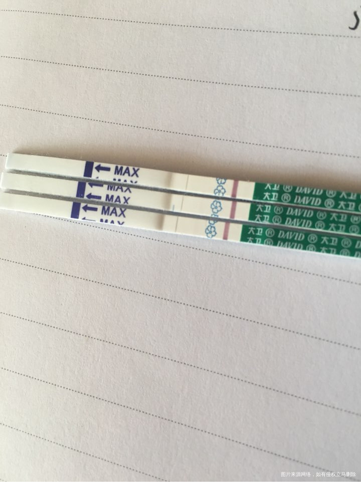 移植冻胚第九天,凑凑热闹