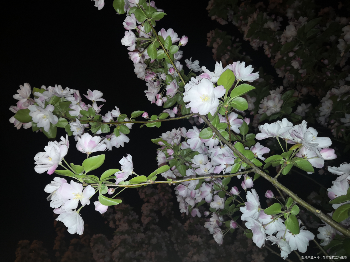 每天睡不够睡不够睡不够