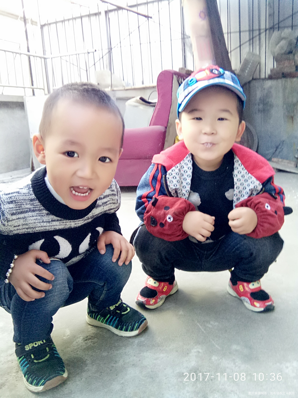 两个小家伙还挺配合的