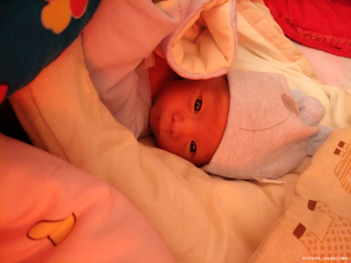 【我家宝爸带娃最有趣】+龙凤宝宝们健康回家了!