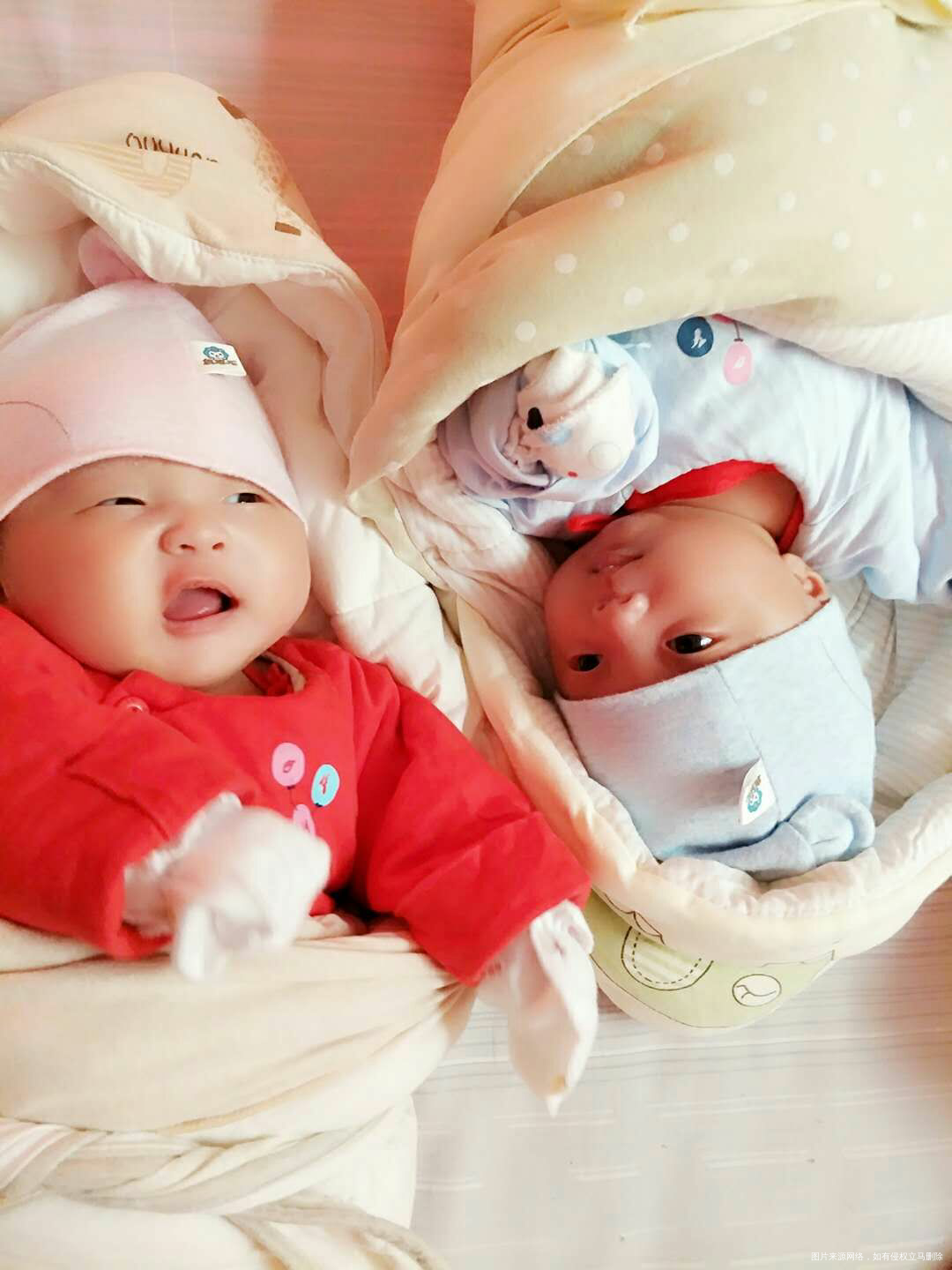 #我取卵的这一天#+我的龙凤宝宝们67天了!